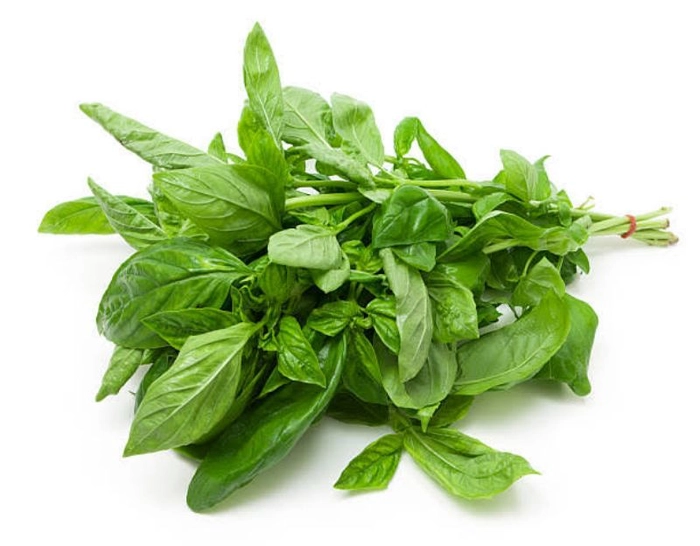 A1👌Basil Leaves 600gm Pack