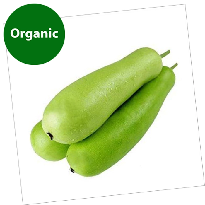 Bottle Gourd (ചുരക്ക) | Organic