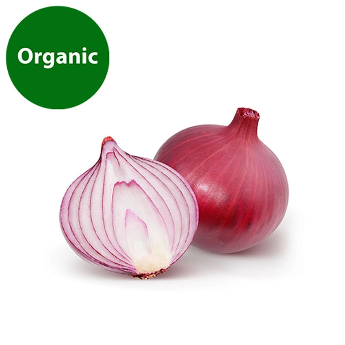 Onion | Organic