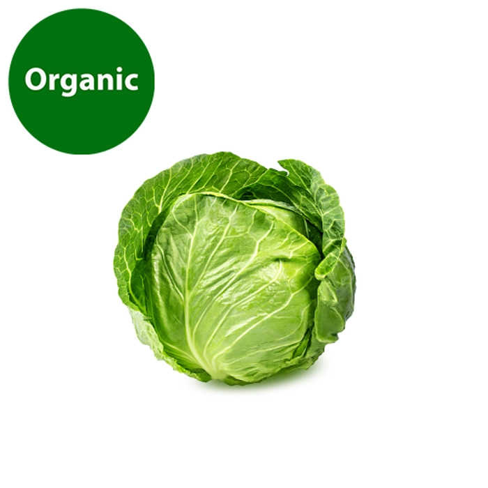 Cabbage | Organic