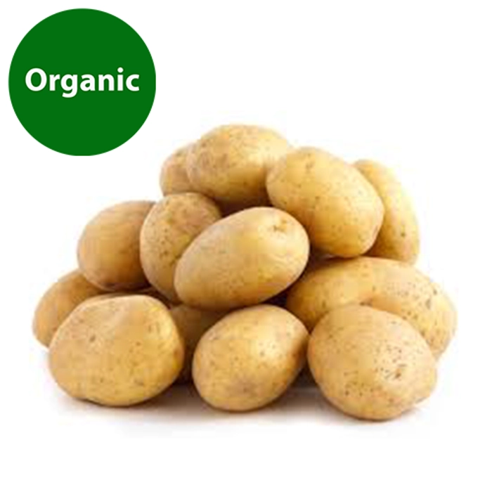 Potato | Organic