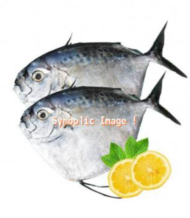 Buy Avoli Mullan (Cd) online from OMR FISH HUB