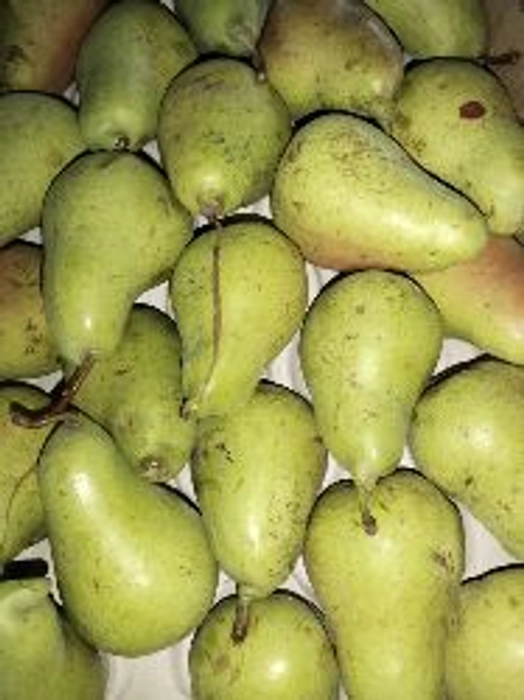 Pears Long