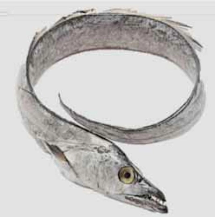 DRY THALA FISH FISH (തളമീൻ ഉണക്കമീൻ)
