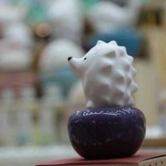 Hedgehong Car Diffuser & 60ml Fragrance Oil