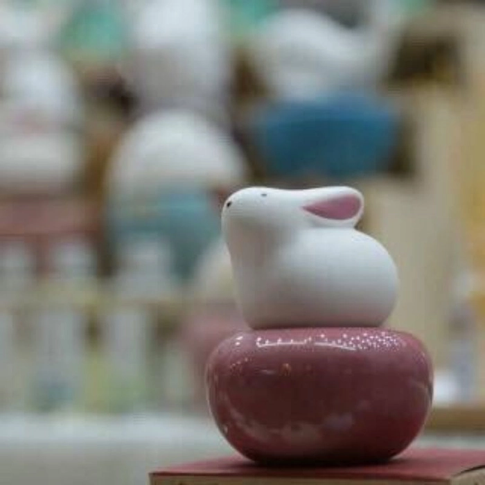 Mini Mochi Bunny Car Diffuser & 60ml Fragrance Oil
