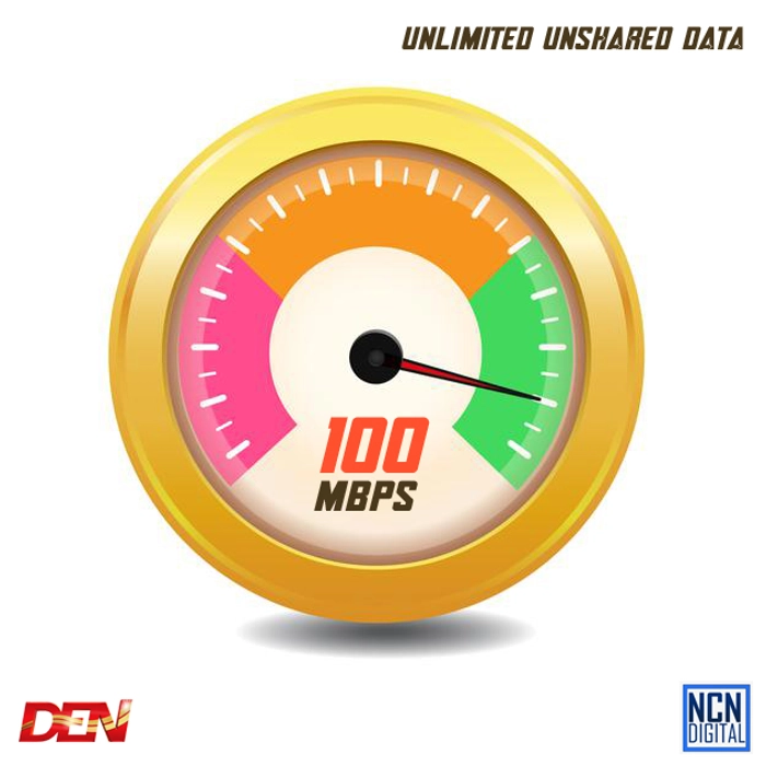 100 mbps Unlimited / 3 months Validity