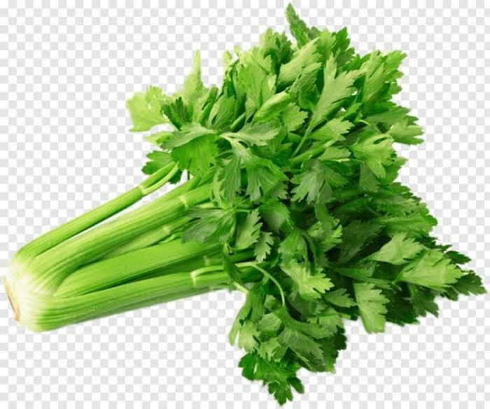 செலரி/Celery