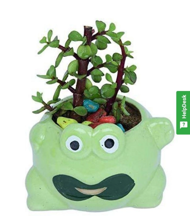 Frog Shaped Green Ceramic Pot