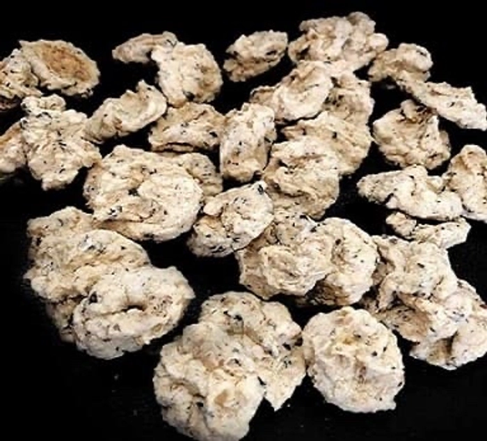 Rasi Badi