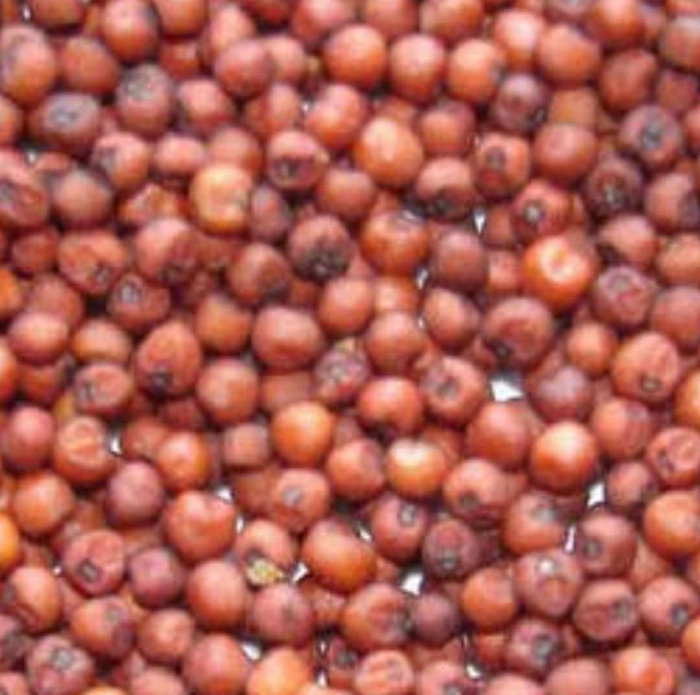 கேழ்வரகு / Finger Millet / Ragi 500g