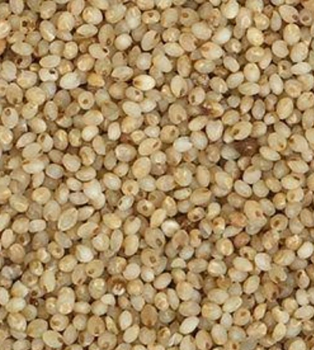 சாமை / Little Millet / Shavan 500g