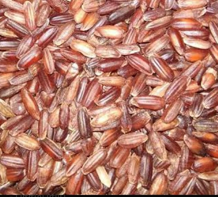 காட்டுயானம் சிவப்பரிசி / Kattuyanam Red Rice 1kg