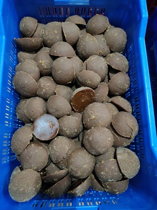 பனைவெல்லம் / கருப்பட்டி / Palm Jaggery