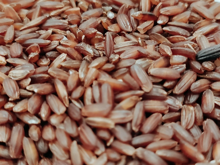 Organic Navara Rice / நவார அரிசி
