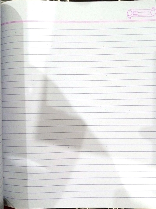 Veer Rough Copy 250 Page