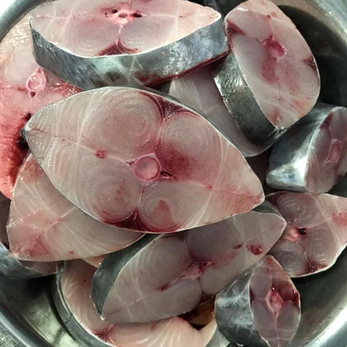 Surumai Fish