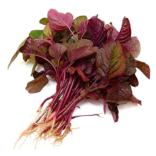 Amaranth leaves | Lal Math Vegetables