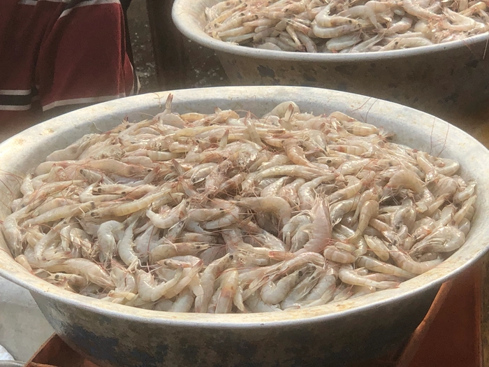 Fresh choto chingri -  তাজা ছোট চিংড়ি মাছ