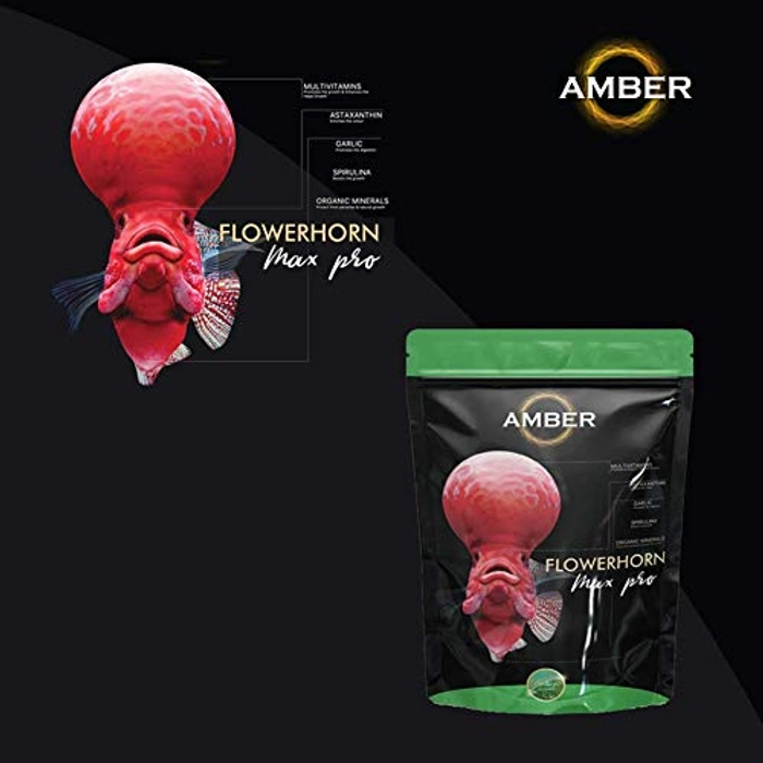 Taiyo Amber Flower Horn Max Pro 100gm Pouch (M)