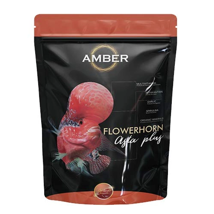 Taiyo Amber Flower Horn Asta Plus 100gm Pouch (L)