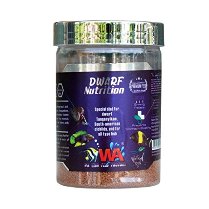 WA Dwarf Nutrition 500ml