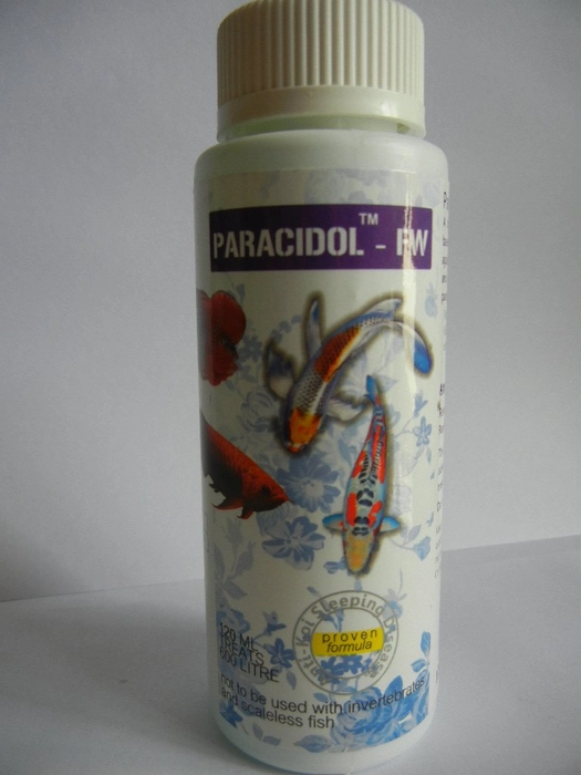 Aquatic Remedies Wild Paracidol Fish Internal Care Aquarium Fish Tank - 120ml