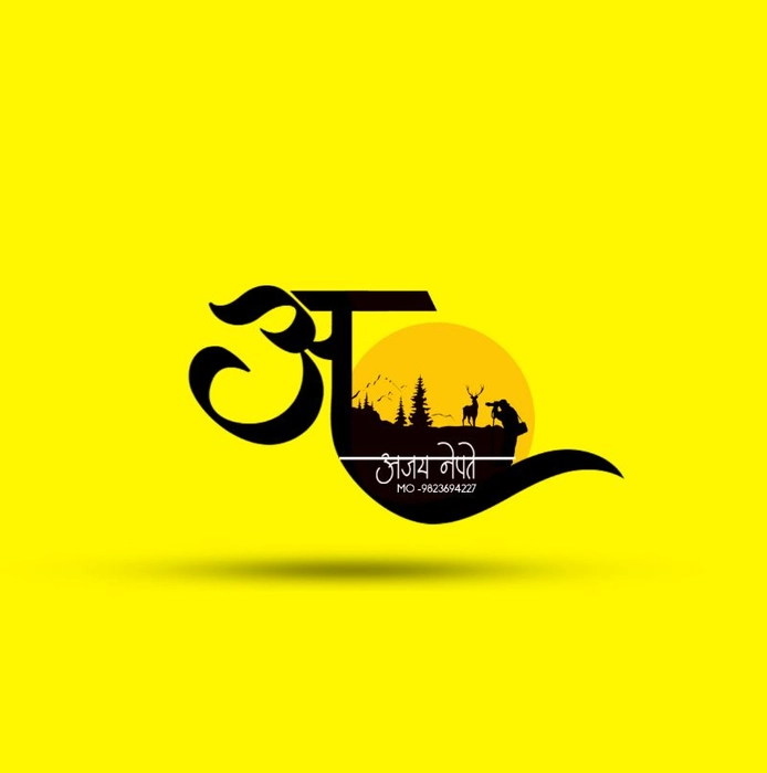 Bold, Professional, It Company Logo Design for Precision by Ajay Soni |  Design #2607490