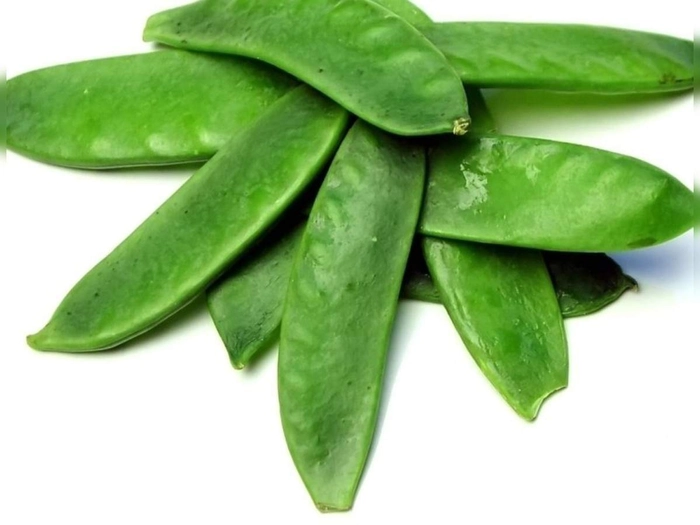Shim/Double Beans/Seem/Lima Bean/ Broad beans