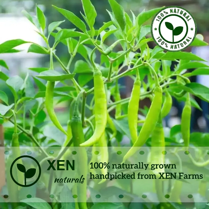 Kacha lonka/Green Chilli-100% Naturally Grown Pesticide Free