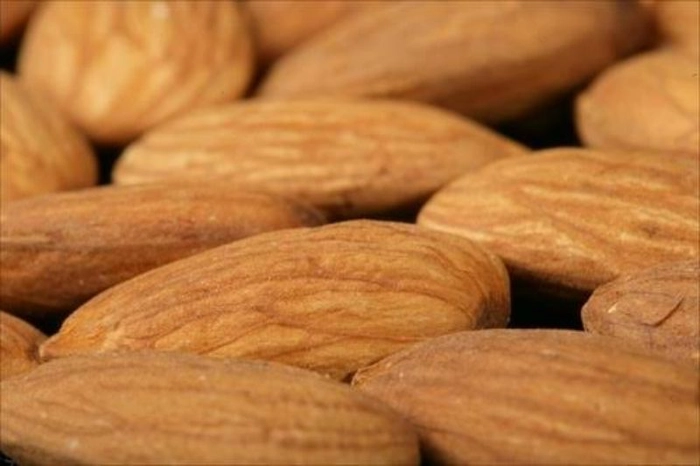 California Almond Big