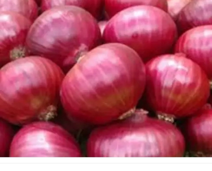 Onion Fresh Regular 1 Kg (Del)