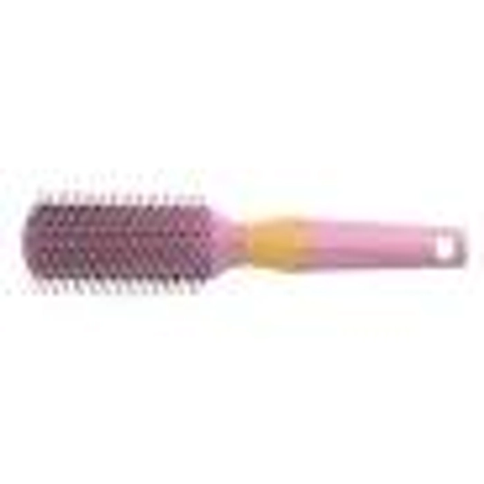 Babila Hair Brush (Hb-v440)