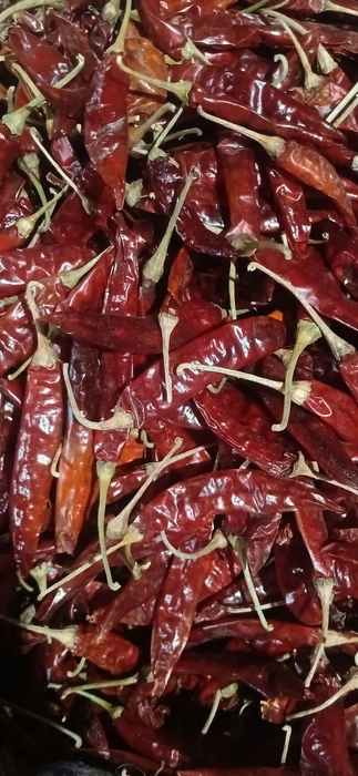 Red Chilli (Lal Mircha)