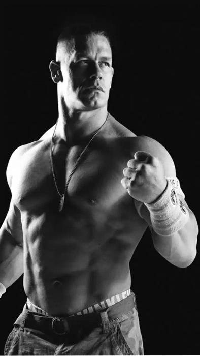 WWE small stickers 10 images Group A
