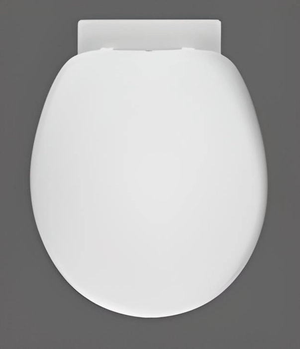 EWC Italica (European Water Closet) Plastic Toilet Seat Cover, With  Jet_TW-FT-07010 - ITILESWALE PVT LTD