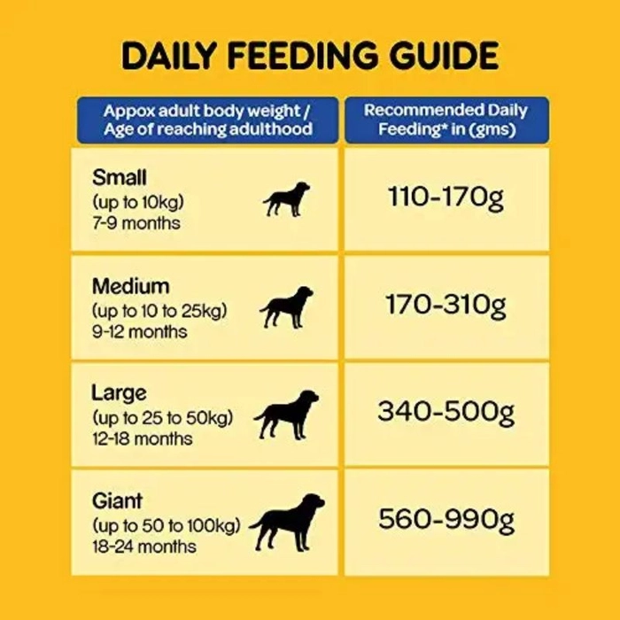 Pedigree 20 hotsell kg pack price