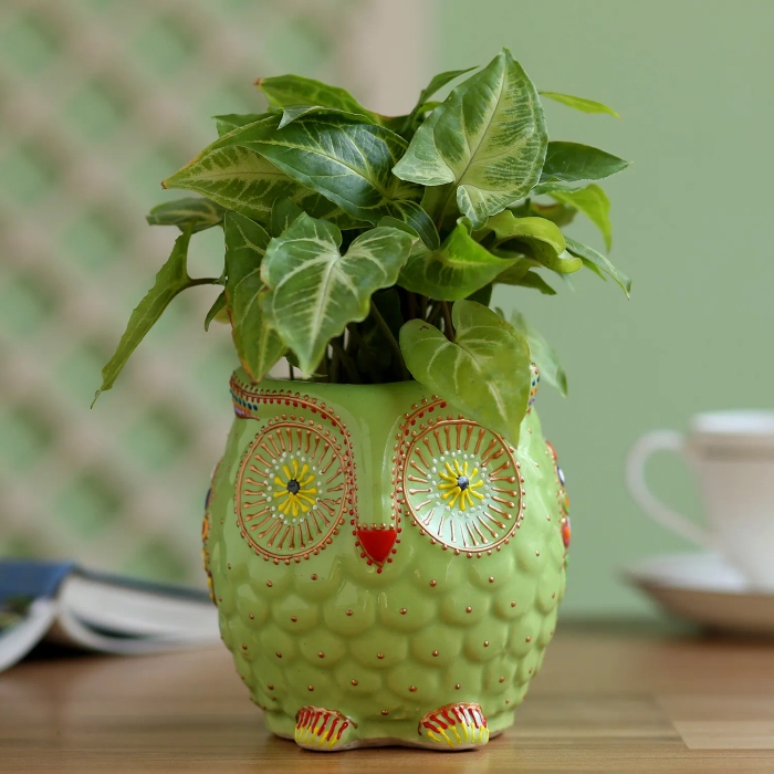 Syngonium Plant in Owl Hand Painted Plante