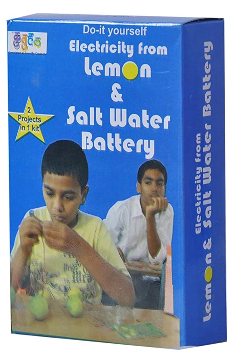 Electricity from Lemon and salt water| battery making DIY Science project kit |