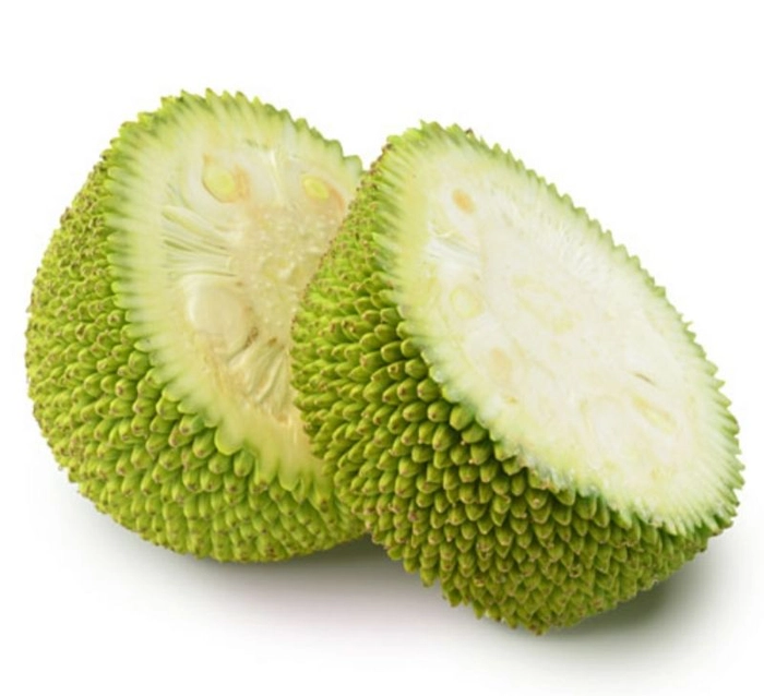 Jackfruit (Katthal) fresh