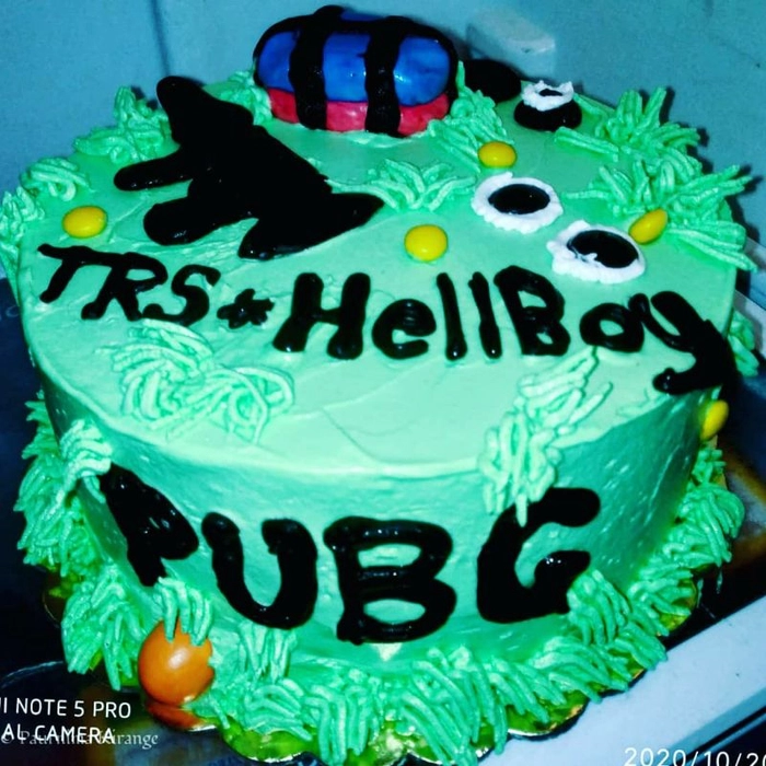 Pubg Birthday Cake-Animal and Bird cake design in Lahore