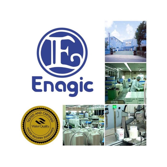 Enagic Japan Reverse Osmosis Kangen Water Machines, Water Storage Capacity:  4000 L, Automation Grade: Fully Automatic at Rs 155000 in Sriperumbudur