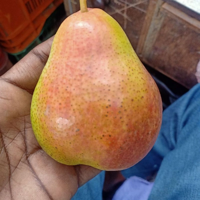 Beauty Pear South Africa