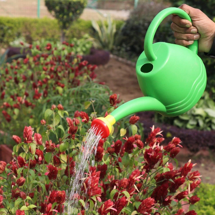 Evergreeness India Can (1.8L, KWC-01) | Plastic Green Water Can With Sprayer for Plants/Garden | Indoor Outdoor Watering Shower Can | Sprinkler for Plants | Watering Hand Bottles for Garden | Water