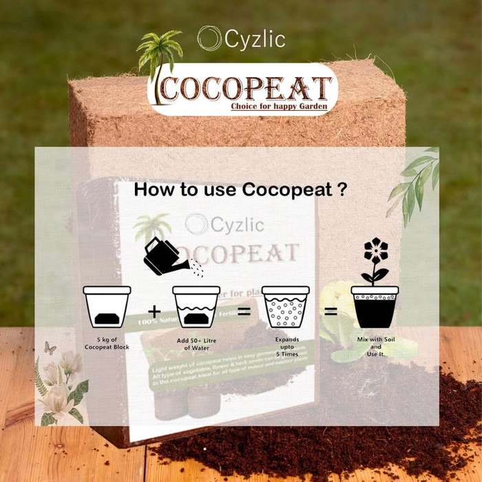 Evergreeness India Cocopeat for Gardening - 100% Natural Soil Amendment 5kg