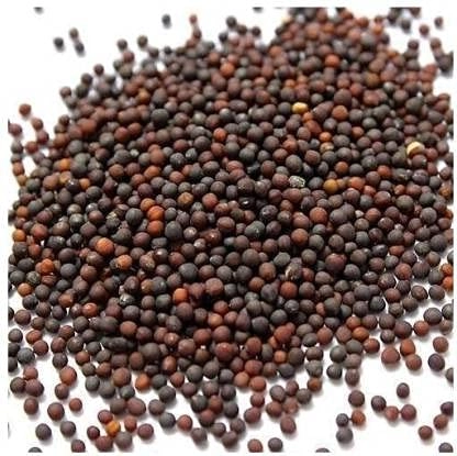 Evergreeness India High Germination Seeds For Your Garden/Easy To Grow/Organic Hybrid Vegetable Seeds For Home And Terrace Gardening, Green And White