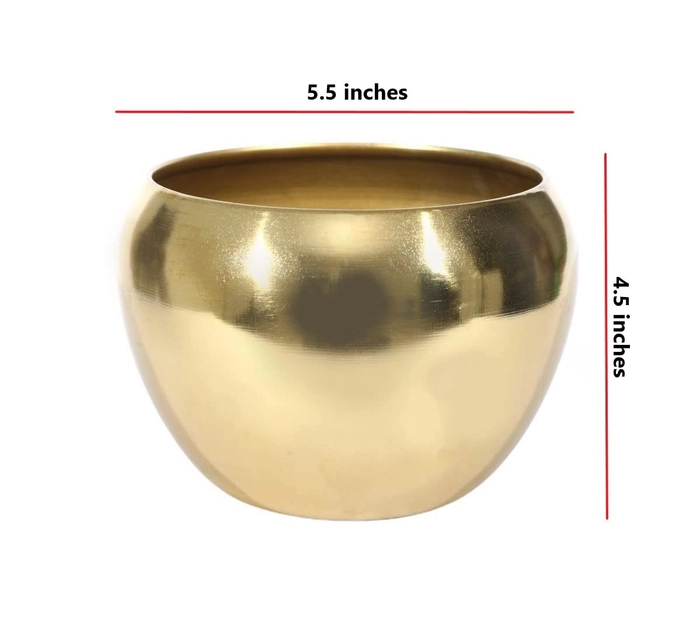 Evergreeness India Electroplated Plants Pots Designer Pots for Indoor/Outdoor Plants, Metal Plant Pots for Living Room, Balcony and Garden Decor (Plant not Included)