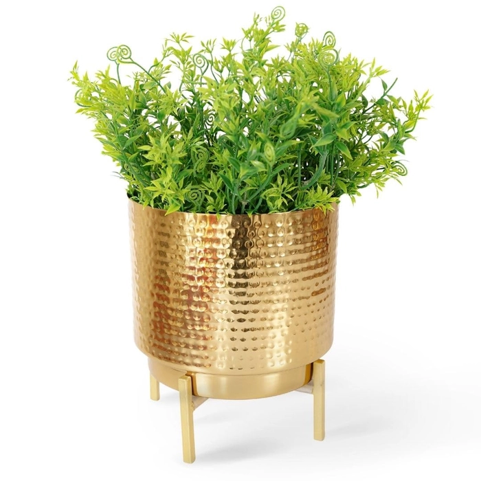Evergreeness India Metal Indoor Planter for Table Top and Floor | Living Room Drawing Room Balcony Office | Decoration Ideas for Plants |Size Medium Golden Colour (Plants not Included)