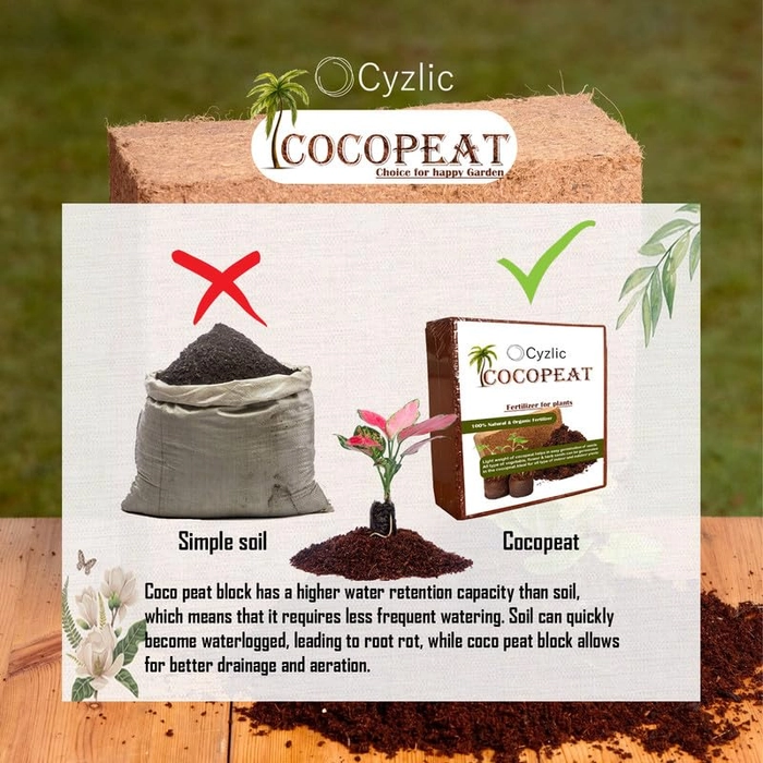 Evergreeness India Cocopeat for Gardening - 100% Natural Soil Amendment 5kg