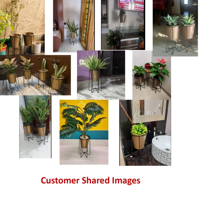 Evergreeness India Pot Stand With Bucket Planter in small size, Gold, standard, 2 Pieces